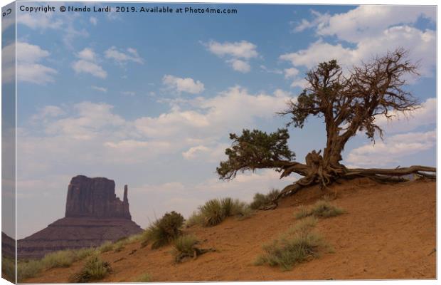 Monument Tree Canvas Print by DiFigiano Photography