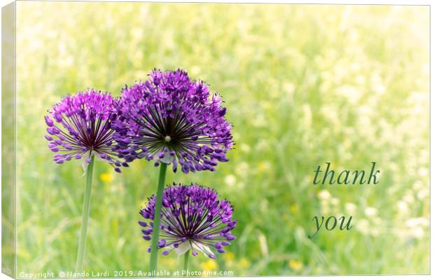 Thank You Canvas Print by DiFigiano Photography
