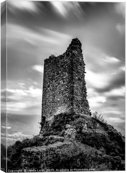 Freudenberg Castle Canvas Print by DiFigiano Photography