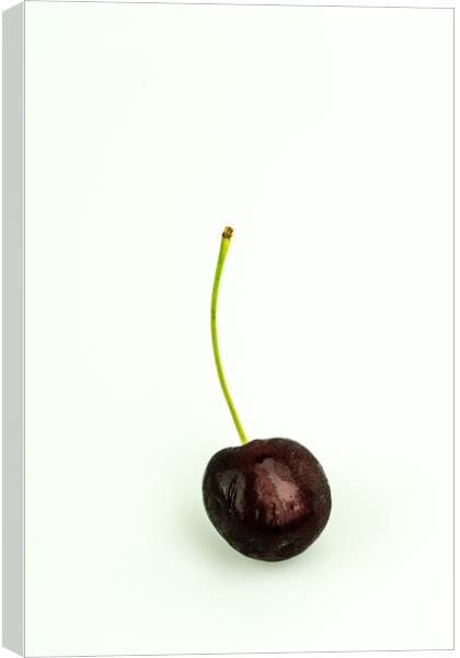 Black Cherry Canvas Print by DiFigiano Photography