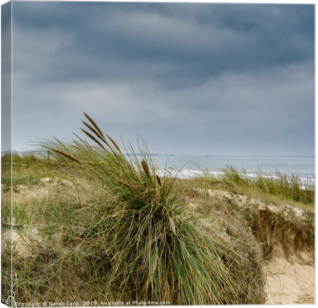 Tata Beach Canvas Print by DiFigiano Photography