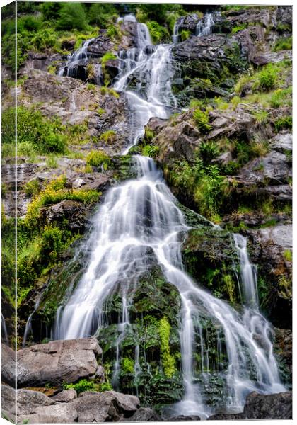 Todtnau Falls Canvas Print by DiFigiano Photography