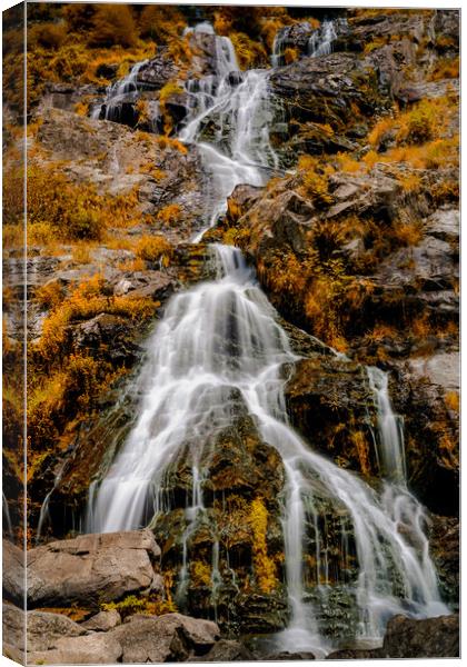 Todtnau Falls Autumn Canvas Print by DiFigiano Photography