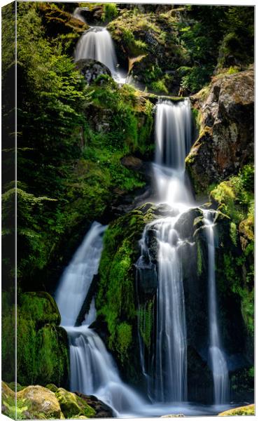 Triberg Waterfalls Canvas Print by DiFigiano Photography
