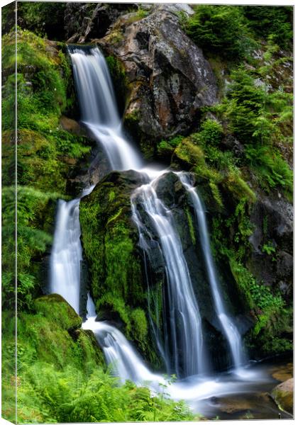 Triberg Waterfalls 2 Canvas Print by DiFigiano Photography