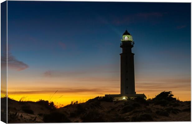 Cape Trafalgar Lighthouse Canvas Print by DiFigiano Photography