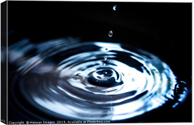 Water drop ripple Canvas Print by Hannan Images