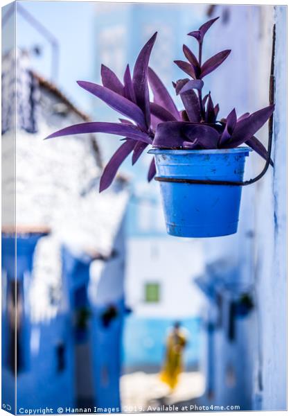 Purple and blue Canvas Print by Hannan Images