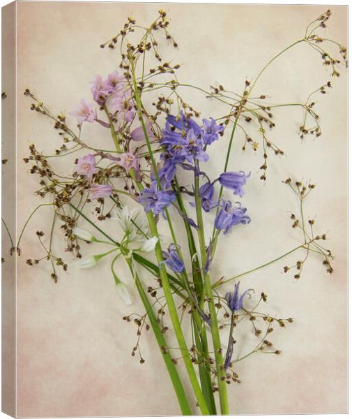 wild flowers Canvas Print by kathy white