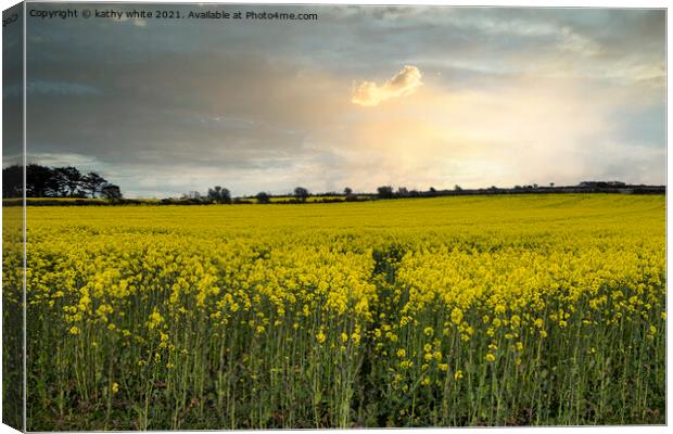 Rapeseed sunset cornwall, at sunset Canvas Print by kathy white