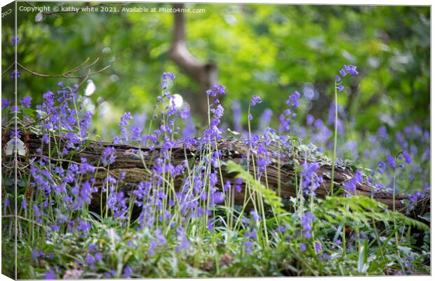 English Bluebell Wood, Cornwall,wild flowers Canvas Print by kathy white