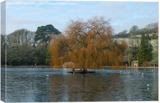 Helston cornwall, boating lake,old willow tree in  Canvas Print by kathy white