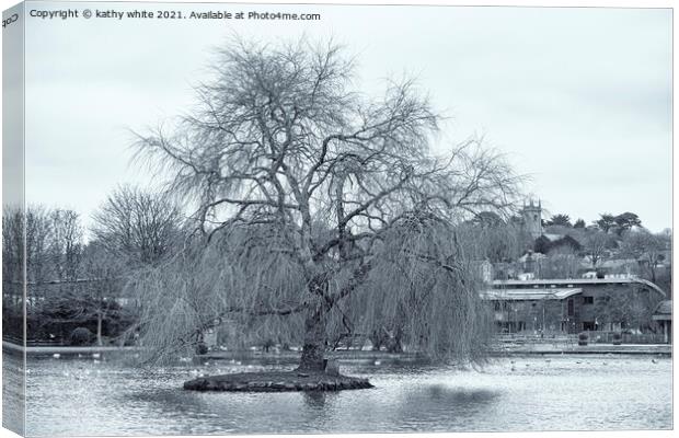 winter Willow tree, Helston Cornwall boating lake Canvas Print by kathy white