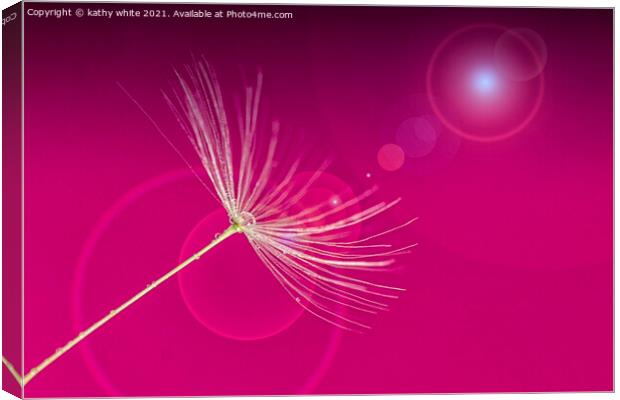 Pretty in pink,dandelion seed,  Canvas Print by kathy white