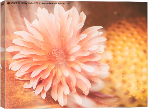 Dahlia flower  Canvas Print by kathy white