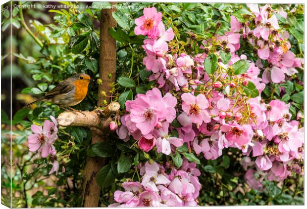 Robin in the rose tree Canvas Print by kathy white