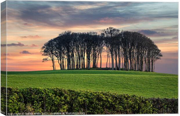  Coming home trees Nearly home trees  Cornwall  Canvas Print by kathy white