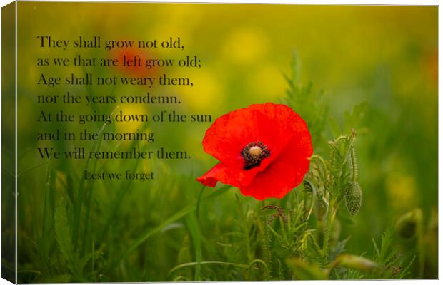 For the Fallen ,Lest we forget Canvas Print by kathy white