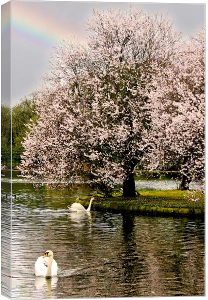 Spring in Helston Cornwall Canvas Print by kathy white