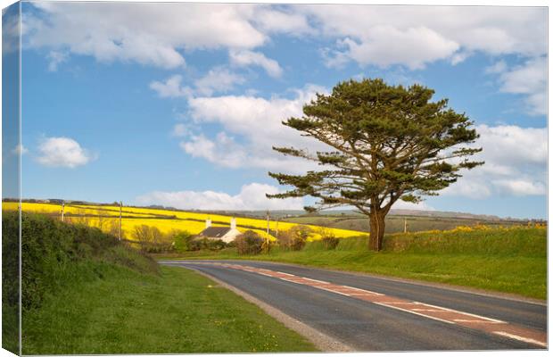 Rapeseed road, Helston Cornwall Canvas Print by kathy white