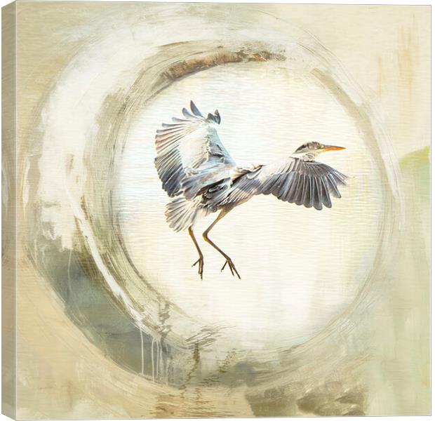 Majestic Grey Heron Fishing Canvas Print by kathy white