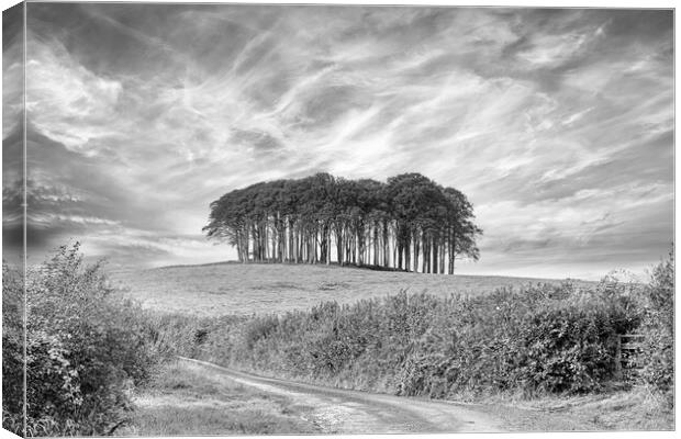 Nearly Home Trees, Coming home trees, Cornwall trees Cookworthy  Canvas Print by kathy white