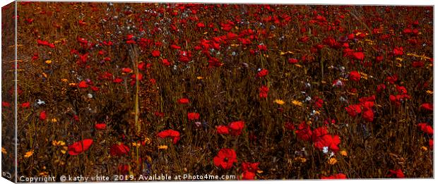 A field of red  flowering poppies  inCornwall  Canvas Print by kathy white