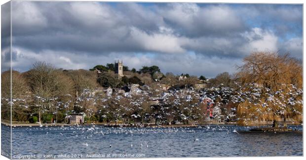 Helston Cornwal Seagulls in Helston boating lake Canvas Print by kathy white