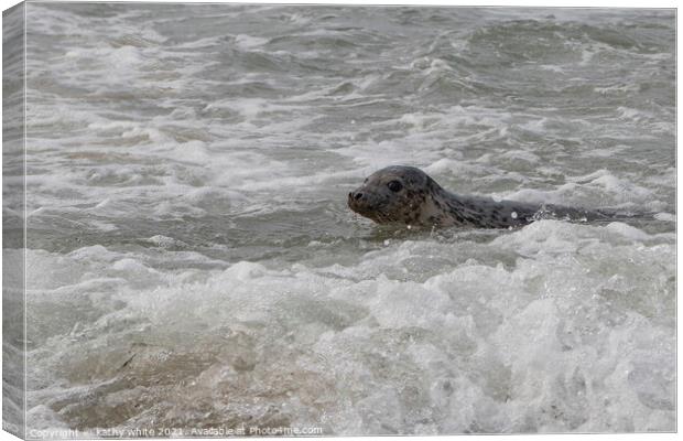 Cornish seal swiming  free,Cornish seals Canvas Print by kathy white