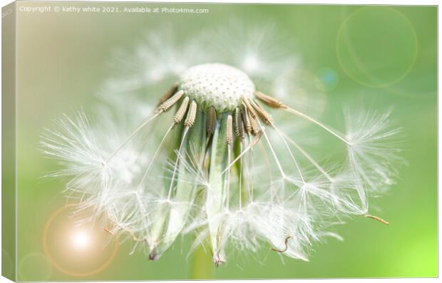 dandelion seed,Flower Photography,floral art Canvas Print by kathy white