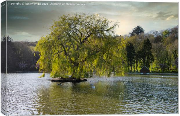Weeping willow,Portrait of a tree on a lake, Canvas Print by kathy white
