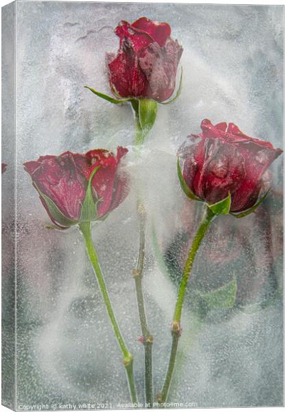 frozen roses water and ice,floral art,garden rose Canvas Print by kathy white