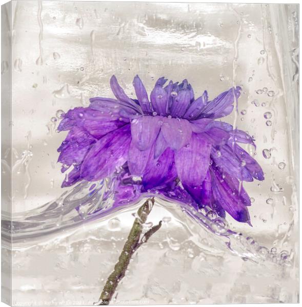 Flowers water and ice in frozen water purple Canvas Print by kathy white