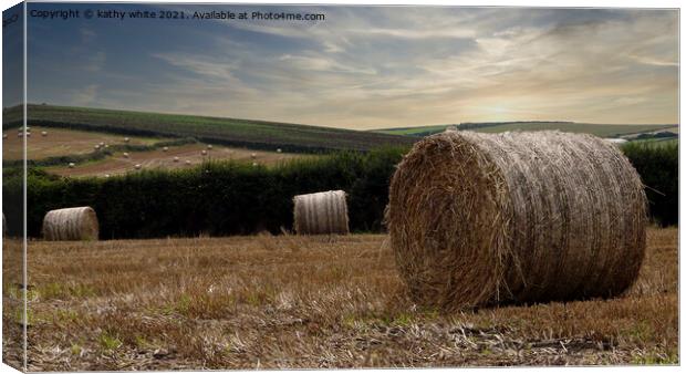 Straw bails, waiting to be collected in a field Co Canvas Print by kathy white