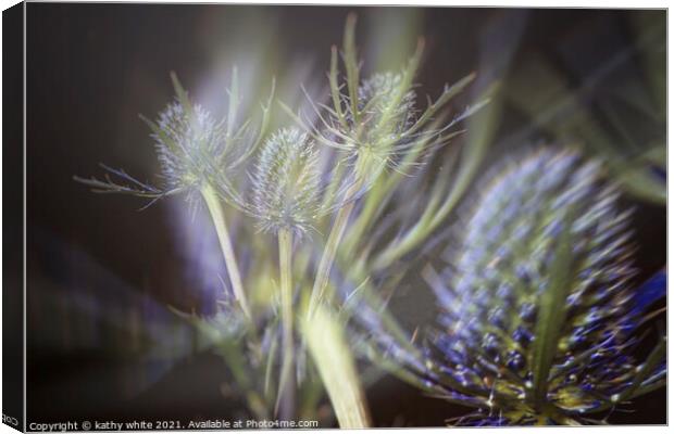 Sea Holly, enchanting blue flowers,Double exposure Canvas Print by kathy white