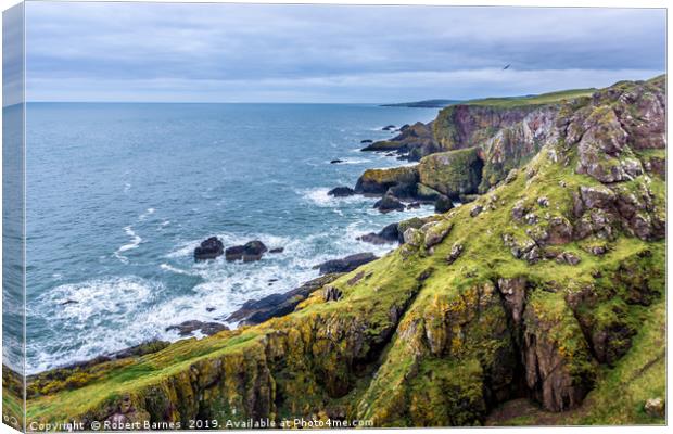 The Saint Abbs Coastline Canvas Print by Lrd Robert Barnes