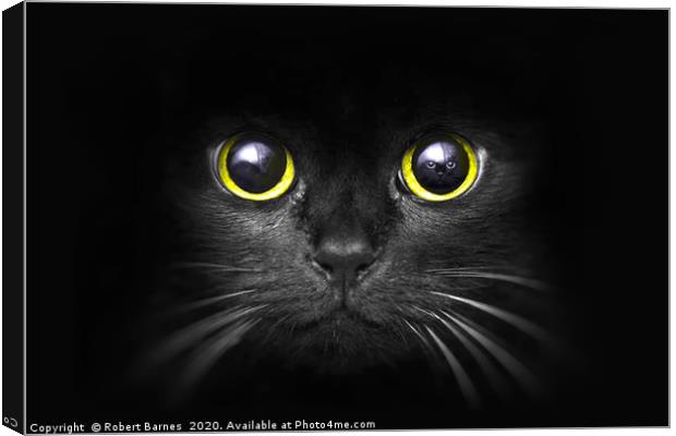 Dark Predator Canvas Print by Lrd Robert Barnes