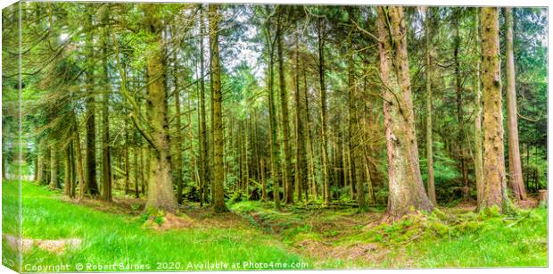 The Enchanted Forest Canvas Print by Lrd Robert Barnes