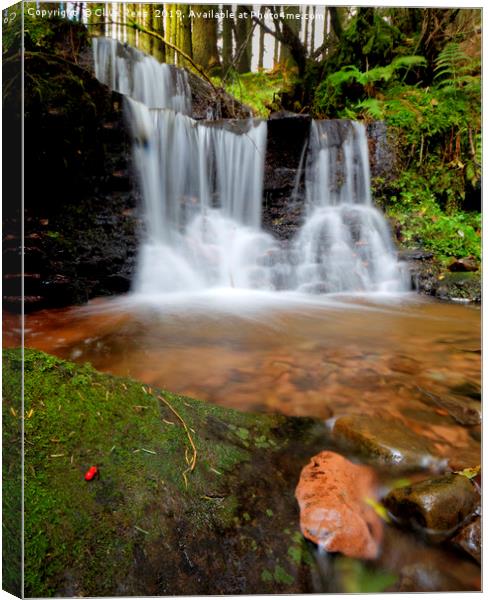 Portrait view of waterfall Canvas Print by Clive Rees