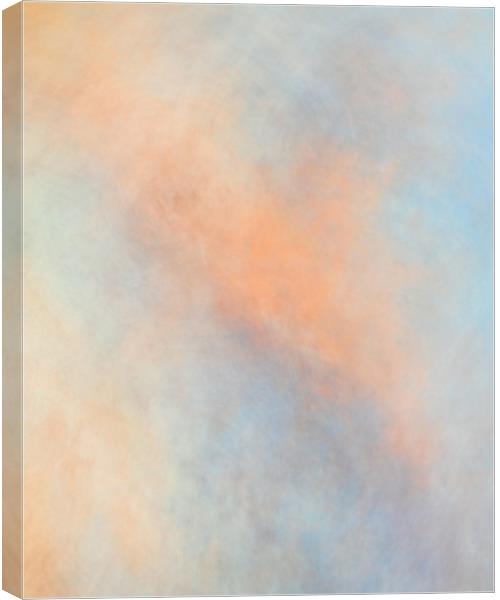 Pastel goodness Canvas Print by Daniel kenealy