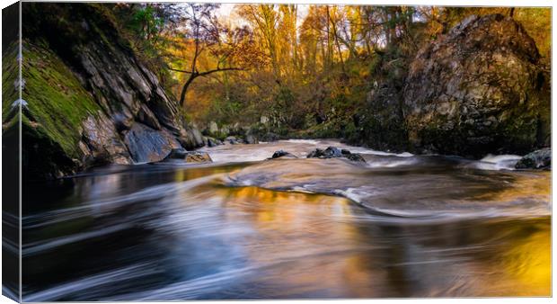 Autumn fast flowing River Canvas Print by Palombella Hart