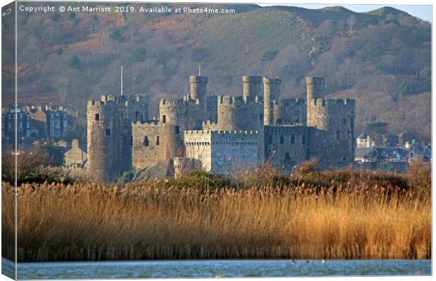 Conway Castle, North Wales. Canvas Print by Ant Marriott
