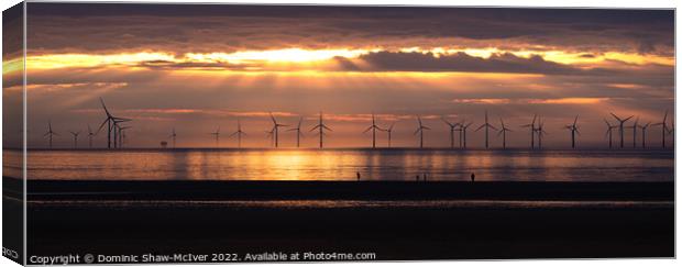 Renewable Energy Canvas Print by Dominic Shaw-McIver