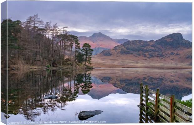 Blea Tarn Reflections Canvas Print by Dominic Shaw-McIver