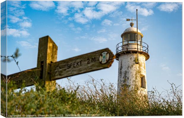 Hale Village Lighthouse Canvas Print by Dominic Shaw-McIver