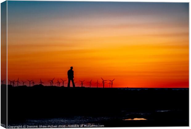 A stroll amongst the windmills Canvas Print by Dominic Shaw-McIver
