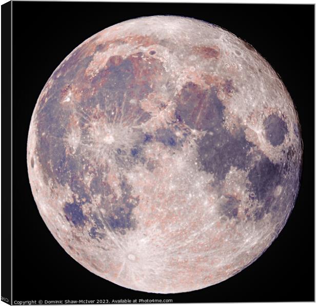 Moonshot Canvas Print by Dominic Shaw-McIver