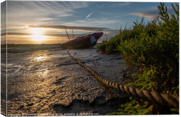 Tranquil Marsh Boat Canvas Print by Dominic Shaw-McIver