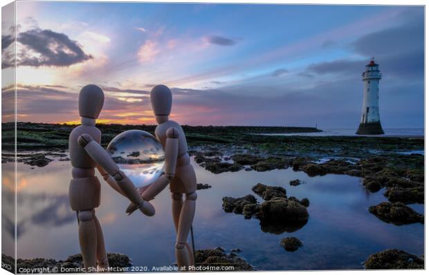 The world in our hands Canvas Print by Dominic Shaw-McIver