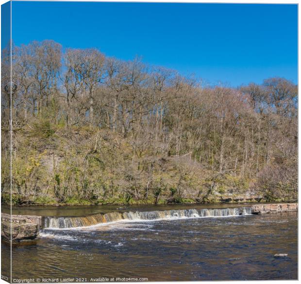 Spring Sunshine on the River Tees at Whorlton Canvas Print by Richard Laidler